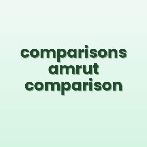 AMRUT 2.0 Compliant vs Standard Decorative Poles