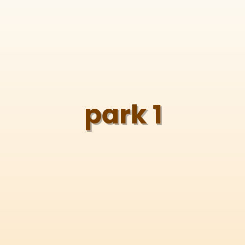 Park & Garden Lighting — Decorative street light installation photo 1 India