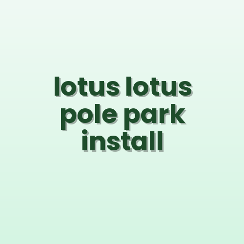 Lotus Decorative Street Light Pole view 3